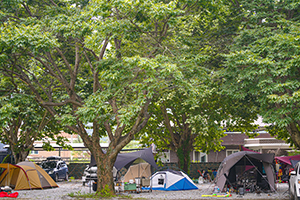 나무야나무야 캠핑장 이미지